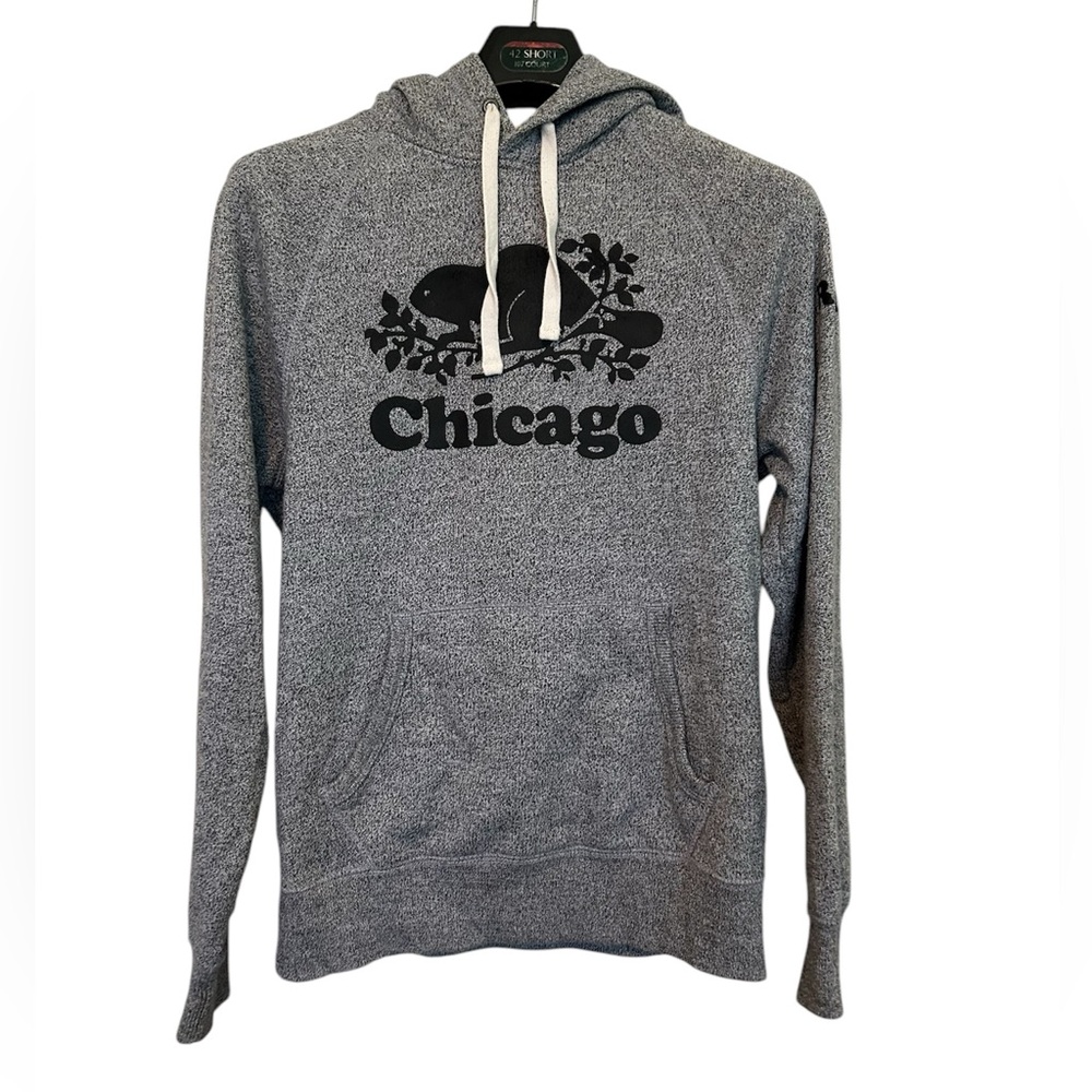 Roots Chicago Rare Hoodie Size XS